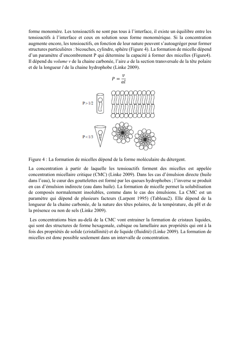 Page du rapport expliquant la formation des micelles